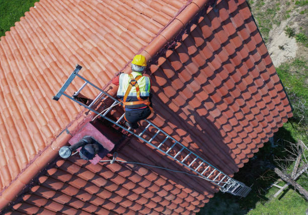 Best Solar Panel Roofing Installation  in St Matthews, KY