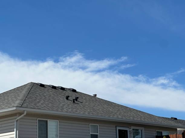 Best Sheet Metal Roofing  in St Matthews, KY