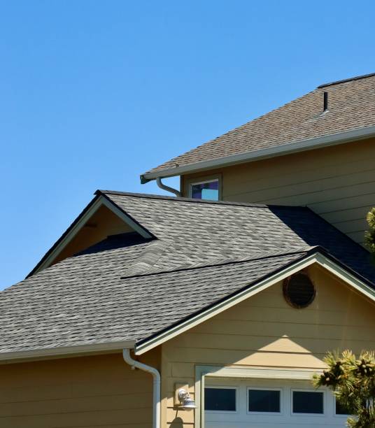 Best Roof Moss and Algae Removal  in St Matthews, KY